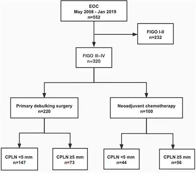 Clinical significance of enlarged cardiophrenic lymph nodes by CT in advanced ovarian cancer